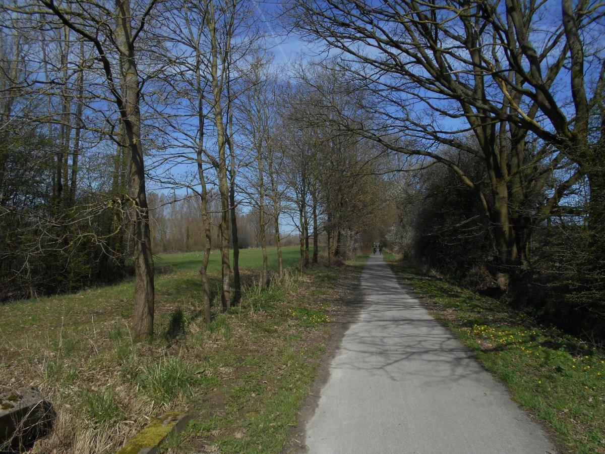 Vakantiehuis In Vlaamse Ardennen Zottegem Exteriör bild